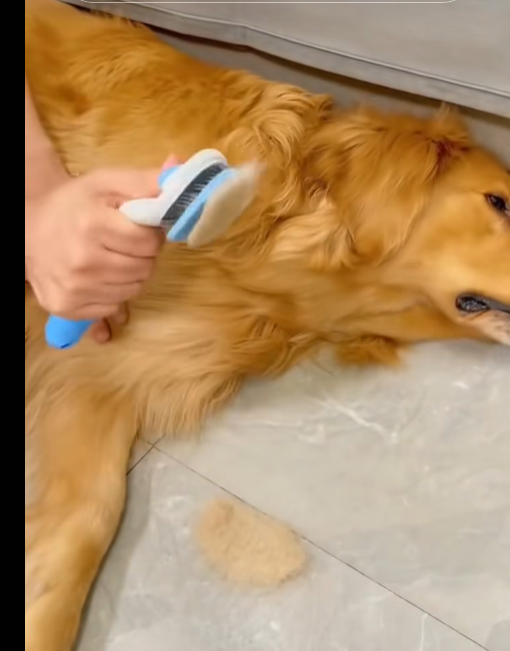 Cepillo para mascotas